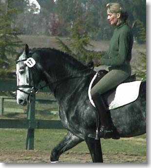 Royal Appearance ridden by Christine Traurig