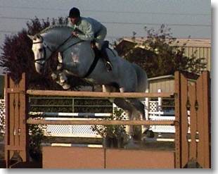 Contigo ridden by Todd Minikus