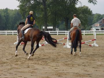 Donner Konig and Land-Champion