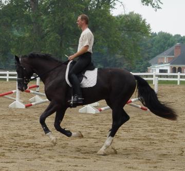 Devon Hier ridden by Arno Klees