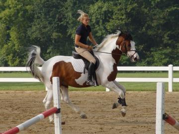 Palladio being ridden by Marlene Strothmeyer