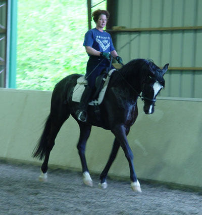 Concerto in Training with Andi