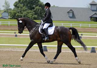 Apollo & Helmut at the Stallion Inspection, July 2005