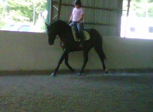 Meghan riding the young KO at eight months pregnant.